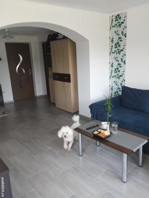 Casa de vanzare - imagine 5