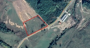 Teren 10.000 mp de vânzare în comuna Valea Iașului, județ Argeș. - imagine 4
