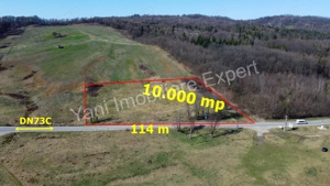 Teren 10.000 mp de vânzare în comuna Valea Iașului, județ Argeș.
