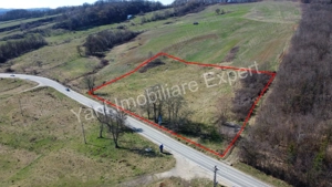 Teren 10.000 mp de vânzare în comuna Valea Iașului, județ Argeș. - imagine 10