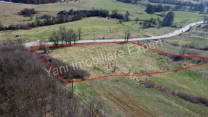 Teren 10.000 mp de vânzare în comuna Valea Iașului, județ Argeș. - imagine 12