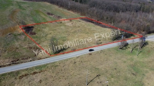 Teren 10.000 mp de vânzare în comuna Valea Iașului, județ Argeș. - imagine 9