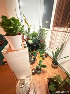 vand apartament 2 c Lipovei 88000 euro - imagine 4