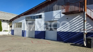 Spatiu industrial de 300 mp de inchiriat in Sebes Alba - imagine 8