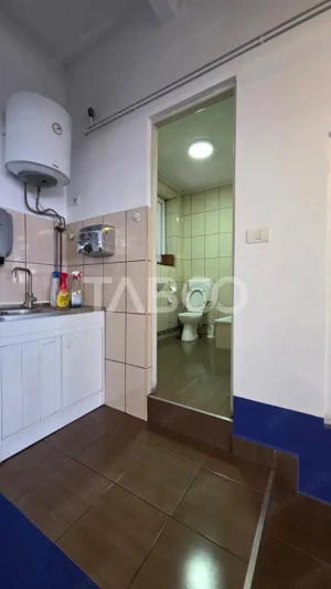 Spatiu industrial de 300 mp de inchiriat in Sebes Alba - imagine 11