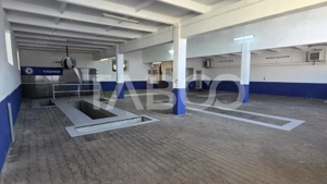 Spatiu industrial de 300 mp de inchiriat in Sebes Alba - imagine 9