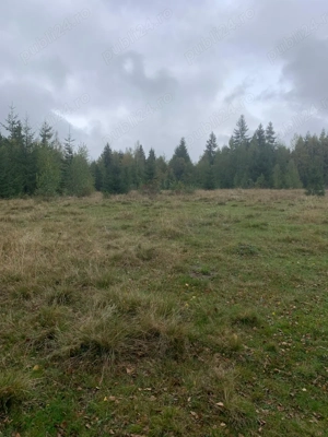 Teren extravilan, judet Cluj - imagine 2