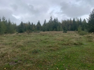 Teren extravilan, judet Cluj