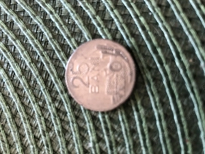 Moneda 25 Bani  an  1966
