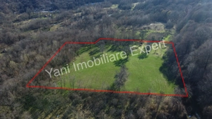 Teren 13.643 mp intravilan de vânzare în Curtea de Argeș.