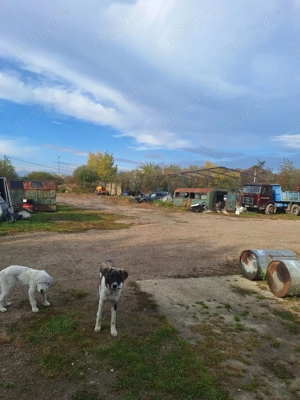 Primim în custodie diferite utilaje