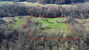 Teren 13.643 mp intravilan de vânzare în Curtea de Argeș. - imagine 17