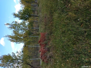 propriet  pe deal  - imagine 5