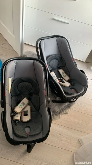 Scoici gemeni si carut 