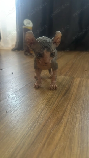 Fetițe gata de plecare , cu toate actele in regula.