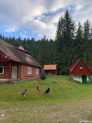 Închiriez cabana pentru revelion - imagine 5