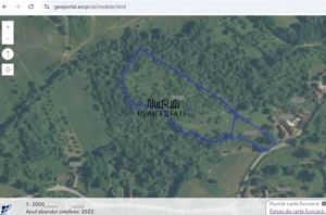 Teren in Apuseni Tebea - imagine 8