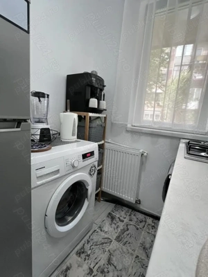 Apartament 1 camera - Blascovici - imagine 7