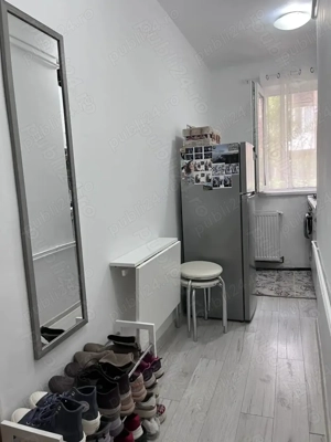 Apartament 1 camera - Blascovici - imagine 8