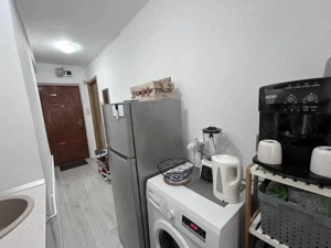 Apartament 1 camera - Blascovici - imagine 9