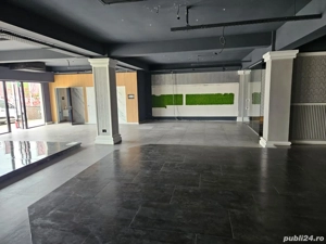 Sp.com  premium 700 mp,Tătărași Sud, Aurel Vlaicu  - imagine 2