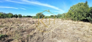 Teren de vânzare – 11.273 mp – zona Plopi, Timișoara Sud.