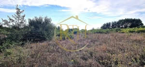 Teren de vânzare – 11.273 mp – zona Plopi, Timișoara Sud. - imagine 4