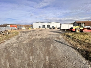 Proprietate industriala Lugoj, jud Timis