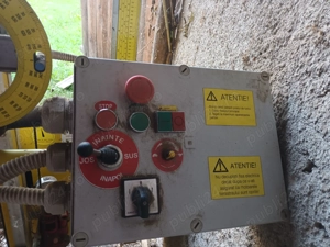 Fierastrau panglica  - imagine 2