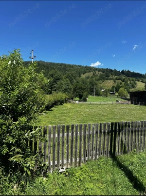 Teren Tulghes Harghita 33.300 mp - imagine 3