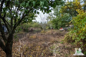 Casa individuala cu teren de 828 mp in zona Caldararu Cernica - imagine 5