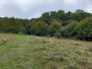 Teren de vanzare in zone Feleacu  la 15km de Cluj Napoca -5342mp. - imagine 3