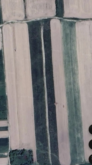 Vând teren extravilan Săcădat