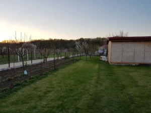 Teren intravilan construibil1000mp,anexe,alei,gard beton plasa bordurata,curent 380V,livada,puturi a