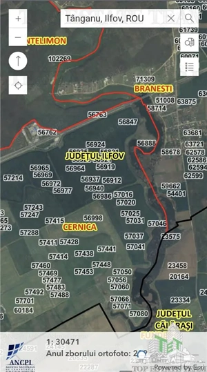 Teren extravilan 18000 mp in Tanganu - imagine 2