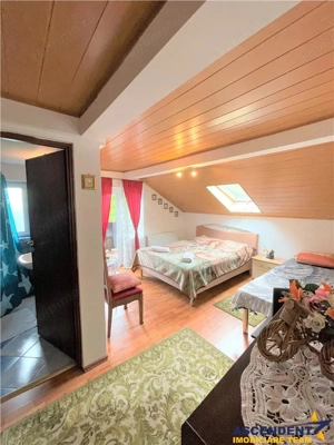 FILM  3D!! Arta si design in incantarea naturii, oportunitate rezidential  turistic, Predeal, Brasov - imagine 19