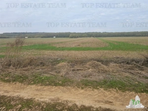Teren 7500mp in liziera padurii in Dragomiresti-Deal - imagine 3