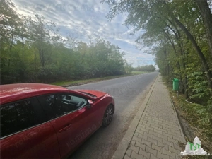 Teren 7500mp in liziera padurii in Dragomiresti-Deal