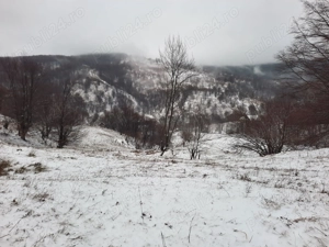 Teren panoramic 2.746 mp  "Latu" dupa Vadurele, Com.Alexandru cel Bun   vedere superbă și aer curat! - imagine 3