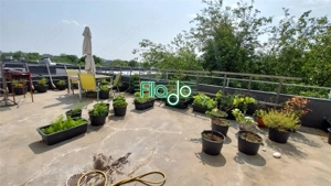 Apartament 3 camere Basarabia, bloc rusesc - imagine 7