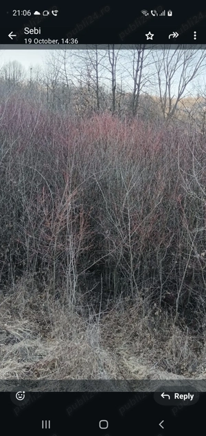 vand teren in grosi extravilan