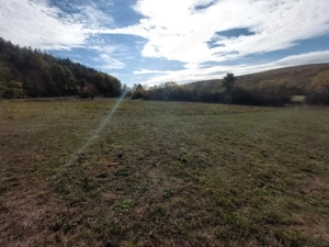 Vând teren extravilan Cladova Jud. Arad - imagine 4