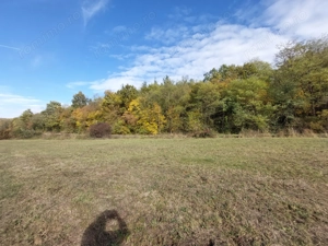 Vând teren extravilan Cladova Jud. Arad - imagine 6