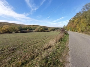 Vând teren extravilan Cladova Jud. Arad - imagine 7