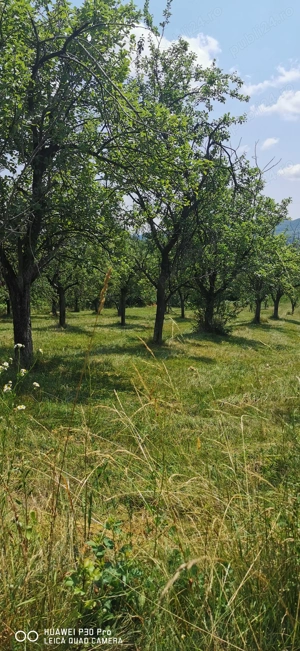 Casa de vânzare!  - imagine 7