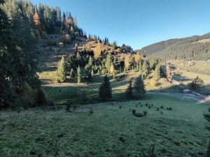 Teren Vatra Dornei 9122m.p. - imagine 2