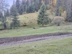 Teren Vatra Dornei 9122m.p. - imagine 3