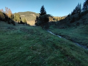 Teren Vatra Dornei 9122m.p.