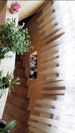 Vila in sendreni cu vedere spre Siret - imagine 10