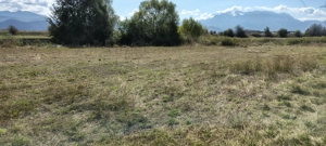 Particular vând Teren extravilan Vulcan BV - imagine 4